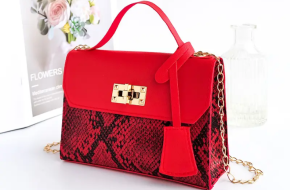 Luxury Leather Skin Women Bag